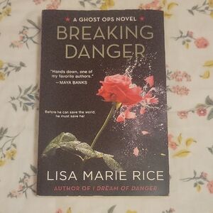 Breaking Danger by Lisa Marie Rice Book